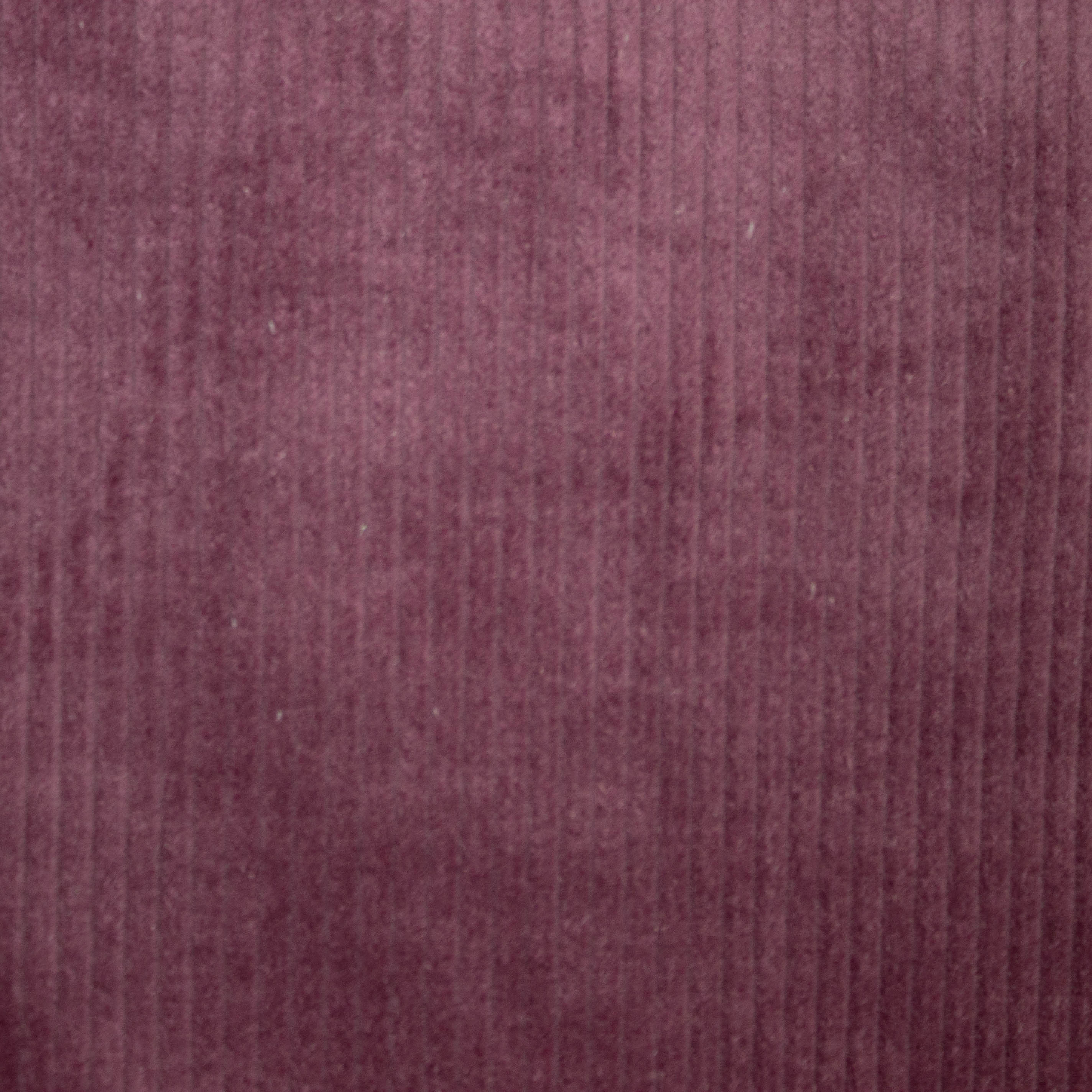 Ribfluweel donker fushia